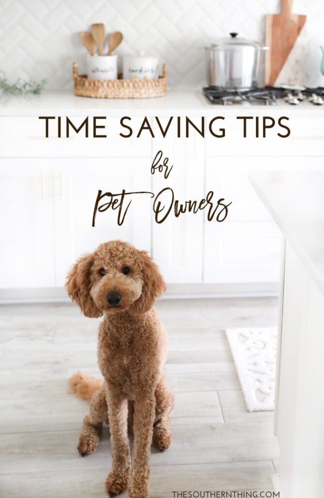 6 Ways Busy Dog Owners Can Save Time-WildCreaturey