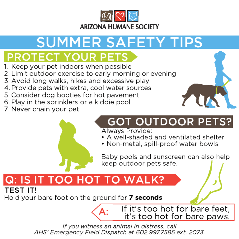 7 Dog Summer Safety Tips-WildCreaturey