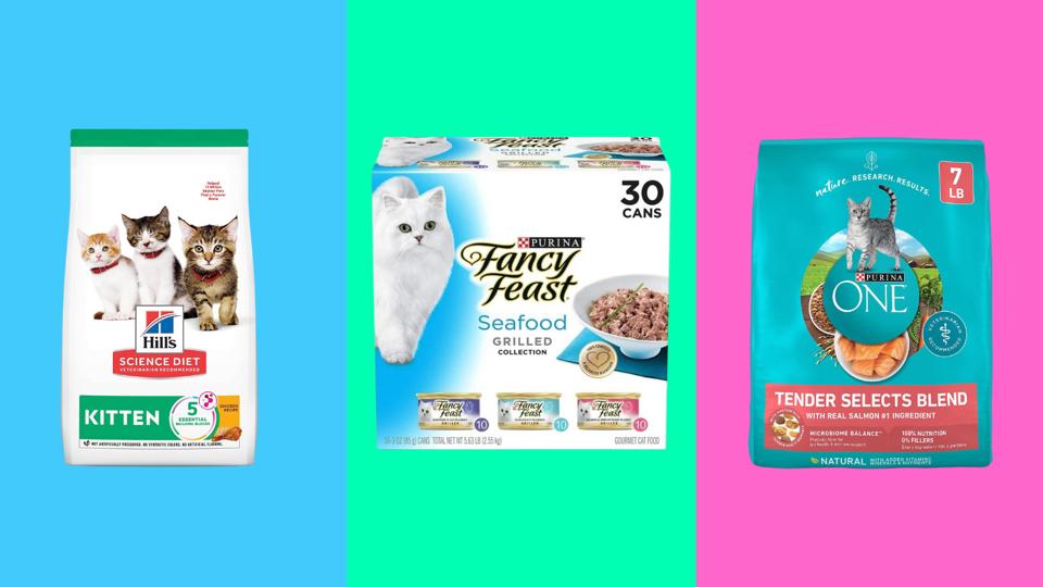 Picky Eaters: How to Choose the Best Cat Food Brands