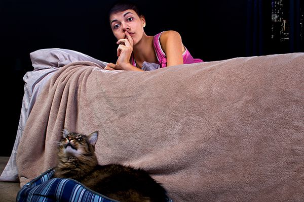 Midnight Meows: Why Your Cat Gets Vocal at Night