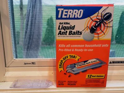 Ant Traps: Safe for Your Home and Cat