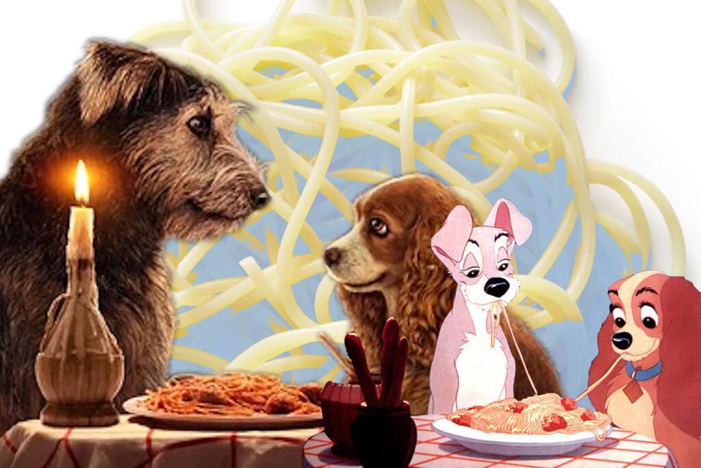 Can Dogs Eat Pasta?-WildCreaturey