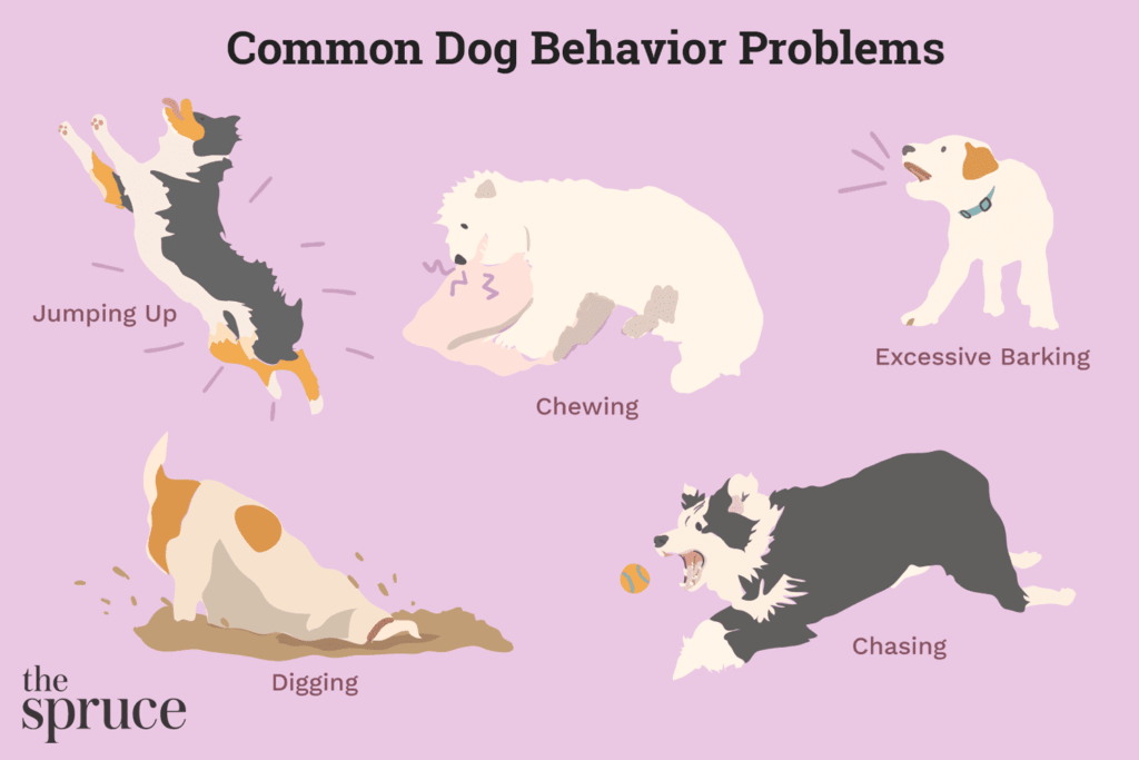 Common Canine Behaviors Explained-WildCreaturey