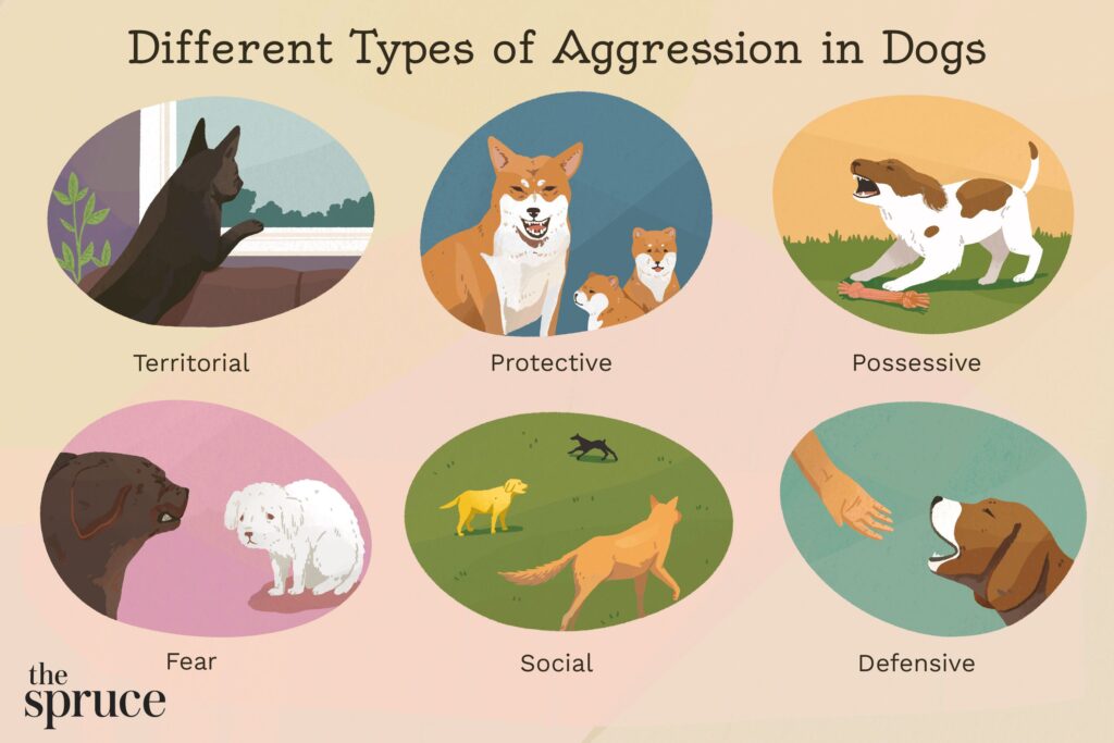 Understanding Puppy Aggression-WildCreaturey