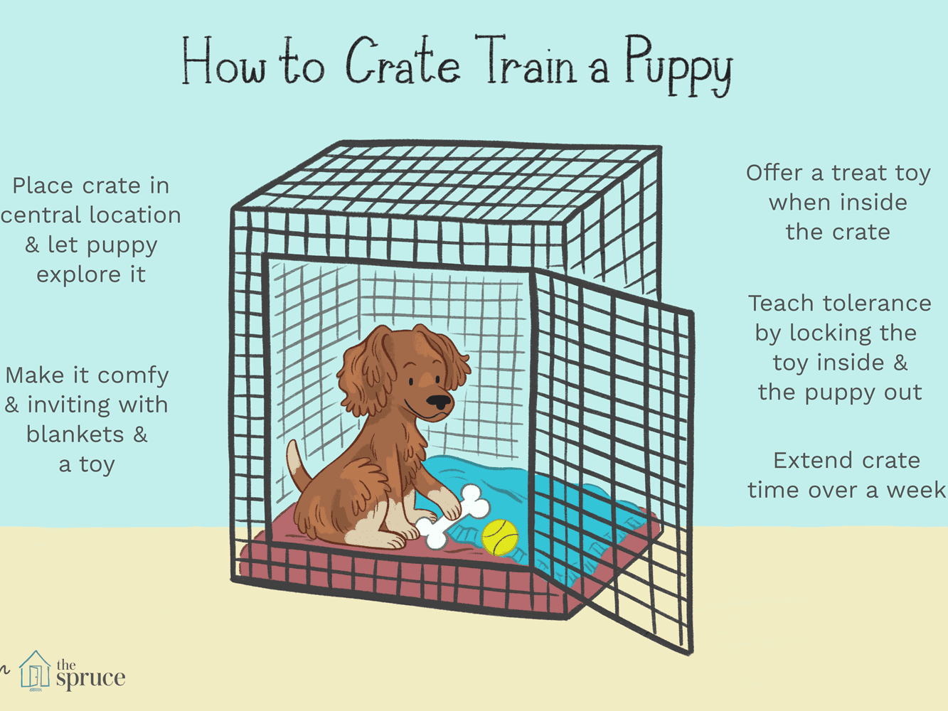 Crate Training Your Puppy-WildCreaturey