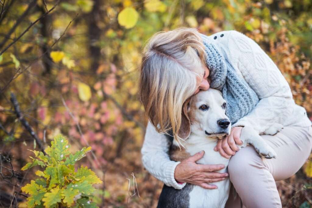 Do Older Dogs Get Menopause?-WildCreaturey