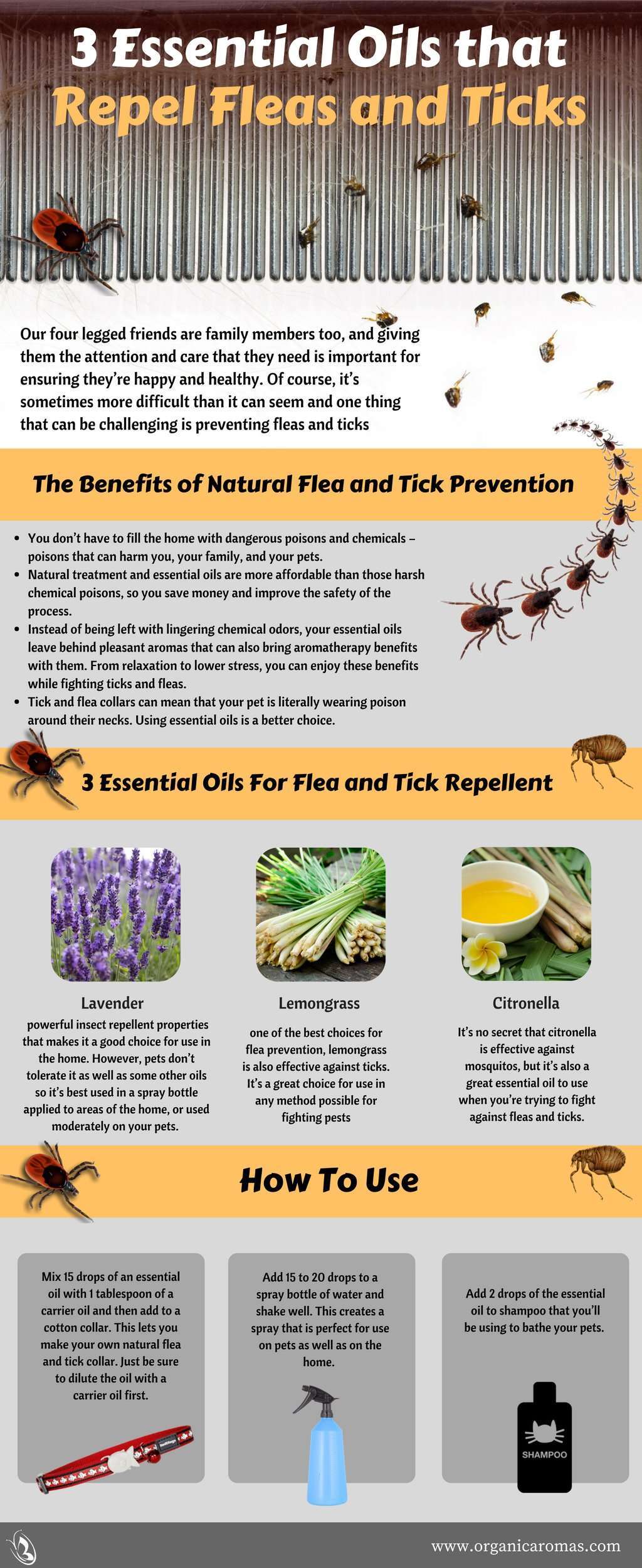 Does Peppermint Oil Kill Fleas?-WildCreaturey