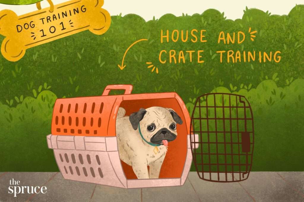 How to DIY Obedience Train Your Dog-WildCreaturey