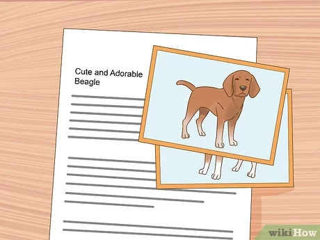 Finding a Good Home for Your Dog-WildCreaturey