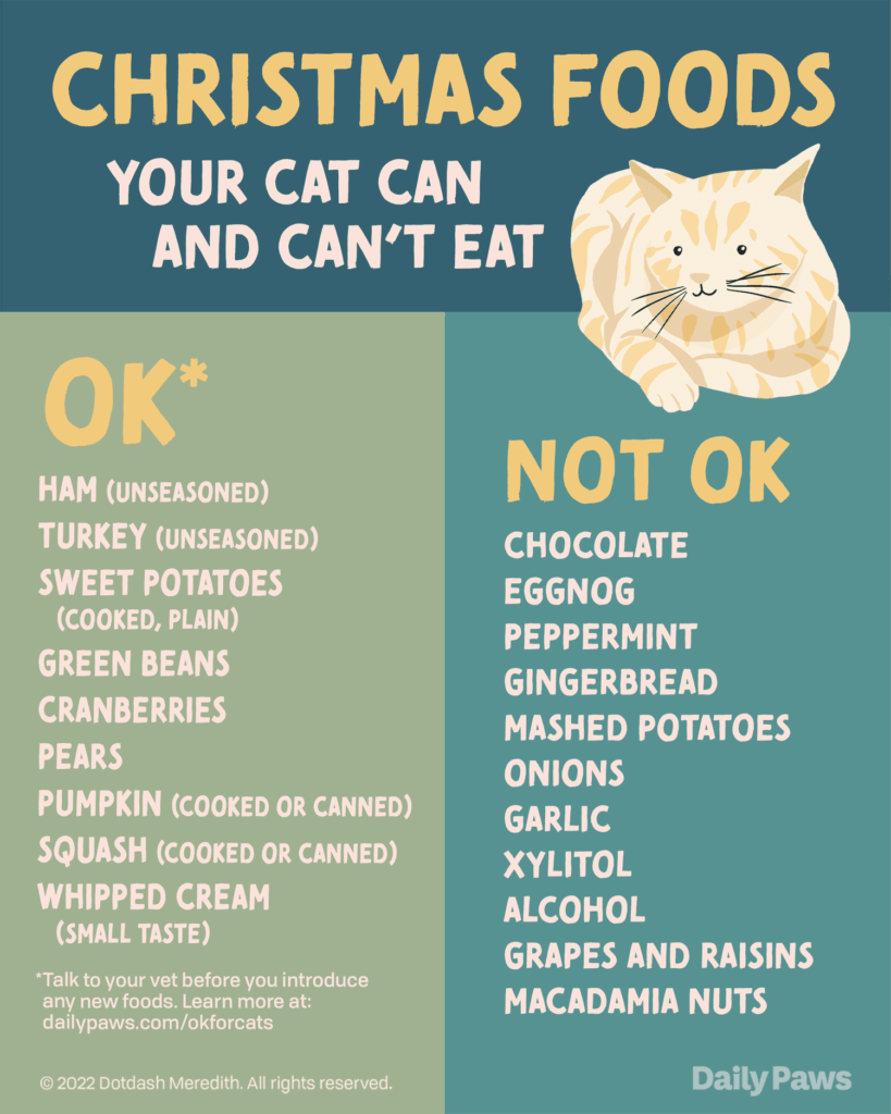 Foods in Your Kitchen Cats Should Avoid