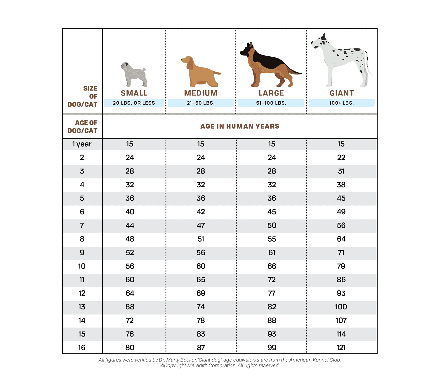 How Old Is Your Dog in Human Years?-WildCreaturey