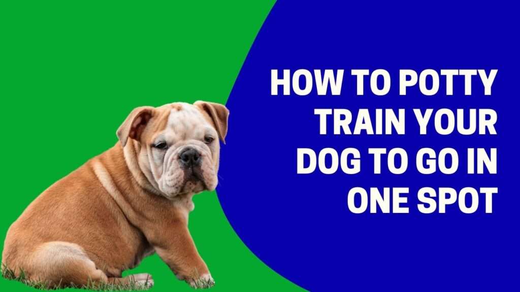 How to Potty Train Your Dog to Go in One Spot-WildCreaturey