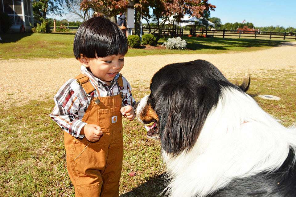 How to Train Your Dog to Safely Interact With Kids-WildCreaturey