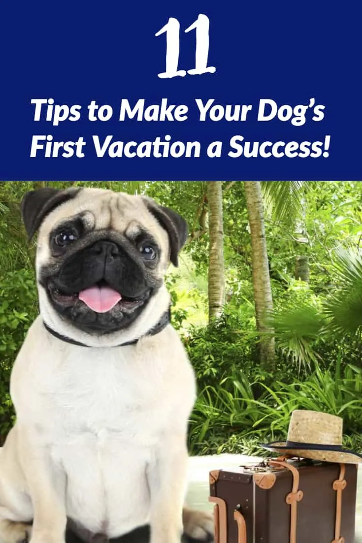 How to Vacation When You Have Puppies-WildCreaturey