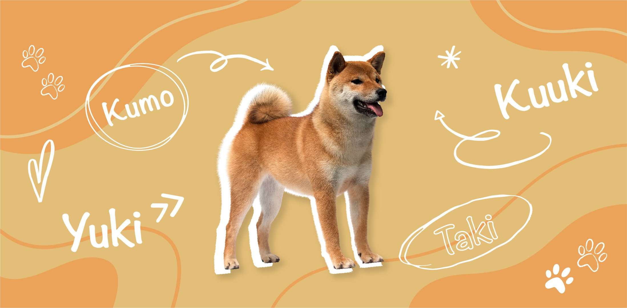 Japanese Dog Names-WildCreaturey