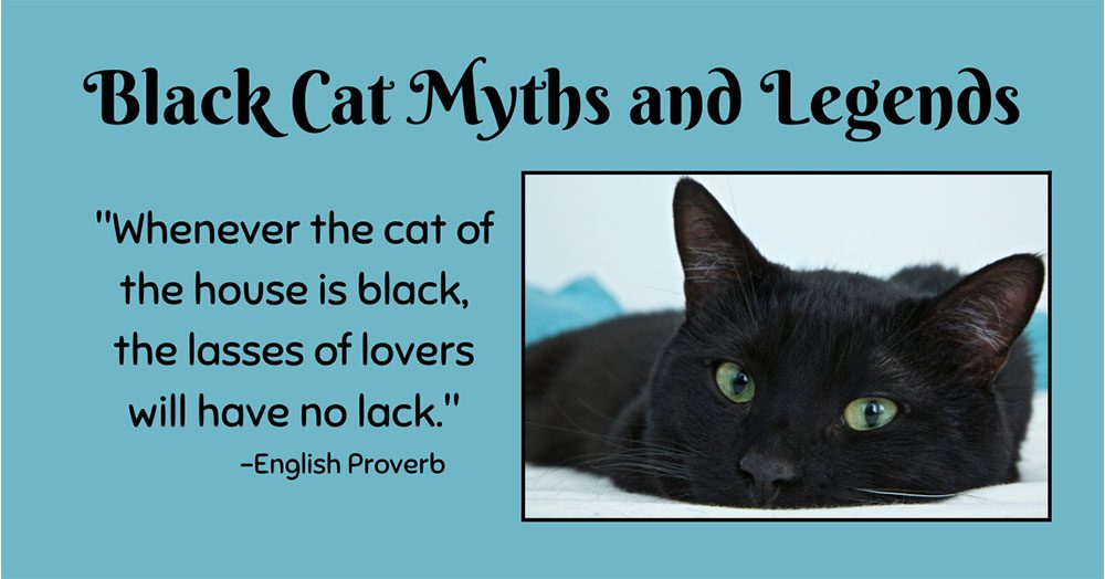 Black Cat Magic: Myths & Truths Revealed