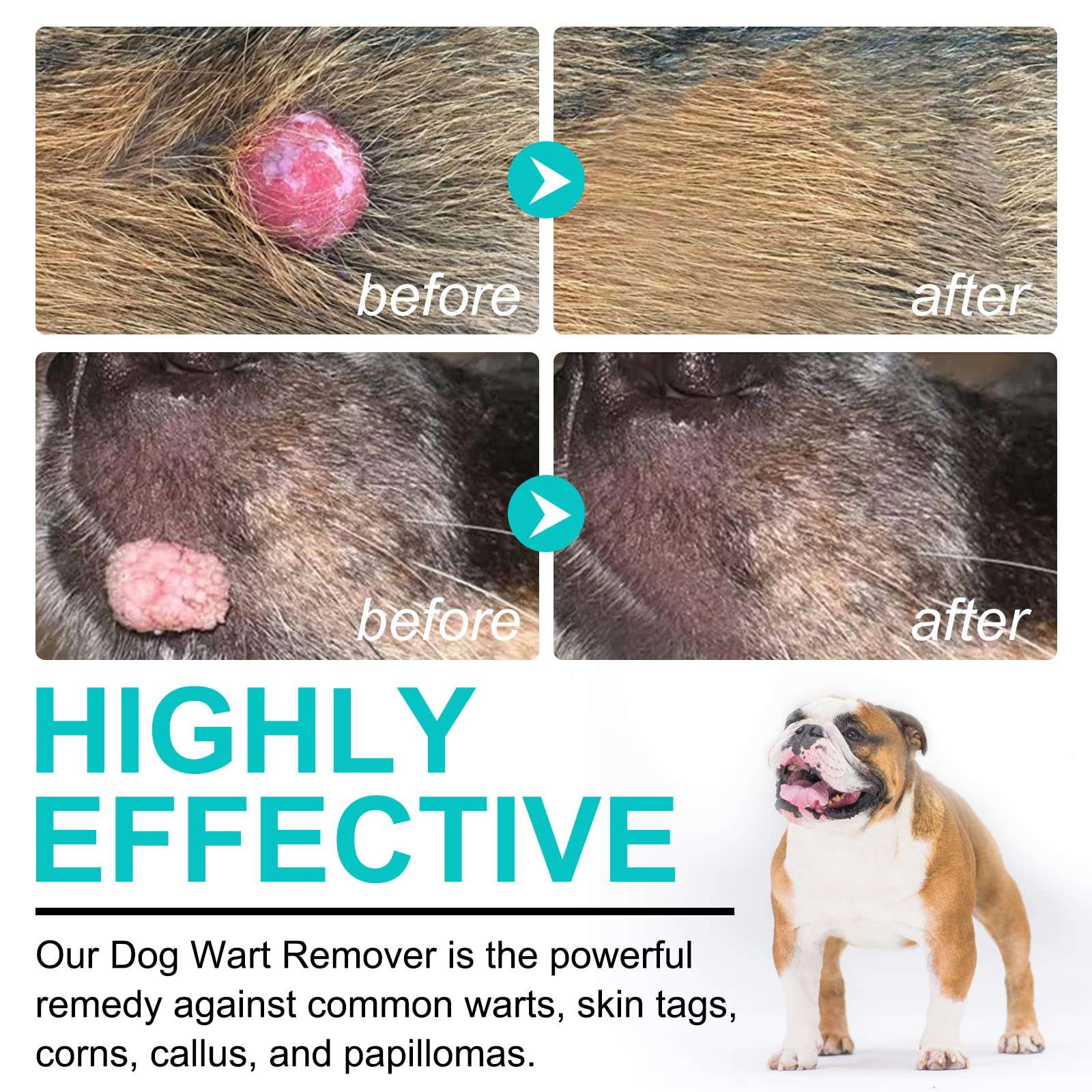 Skin Tags on Dogs-WildCreaturey