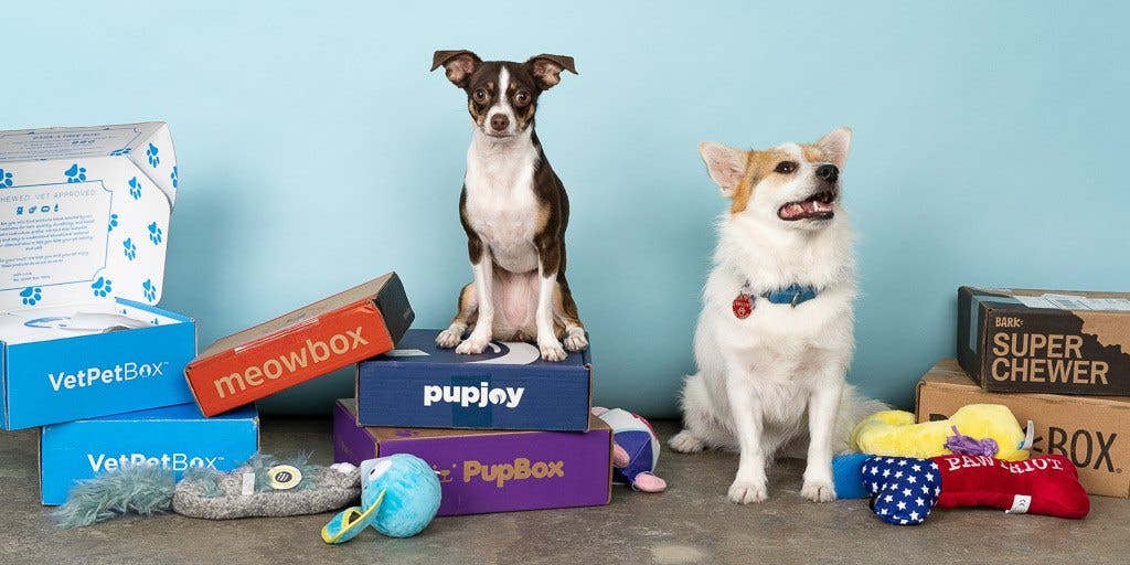 The Best Dog Subscription Boxes-WildCreaturey