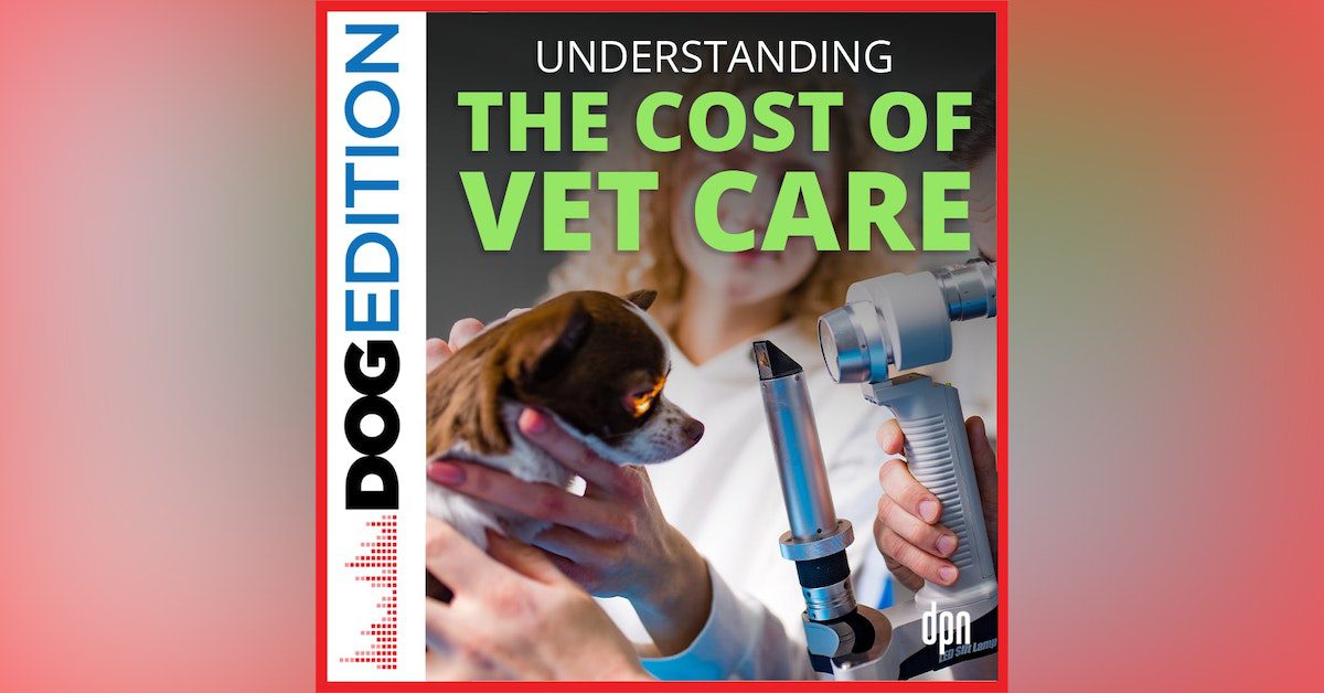 Understanding the Costs of Veterinary Care-WildCreaturey