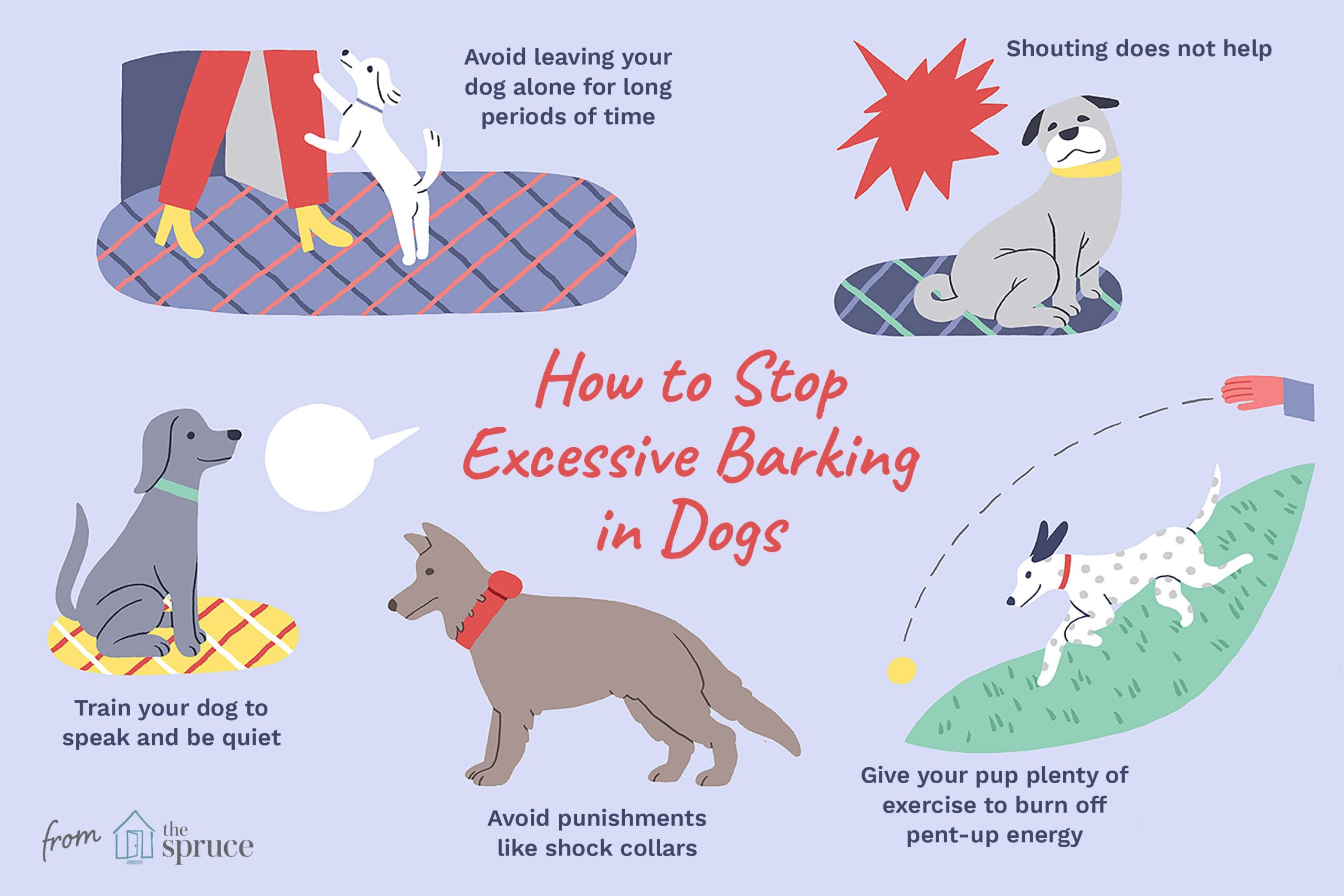 Ways to Help Stop a Puppy Dog From Barking-WildCreaturey