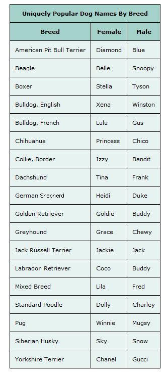 Western Dog Names-WildCreaturey