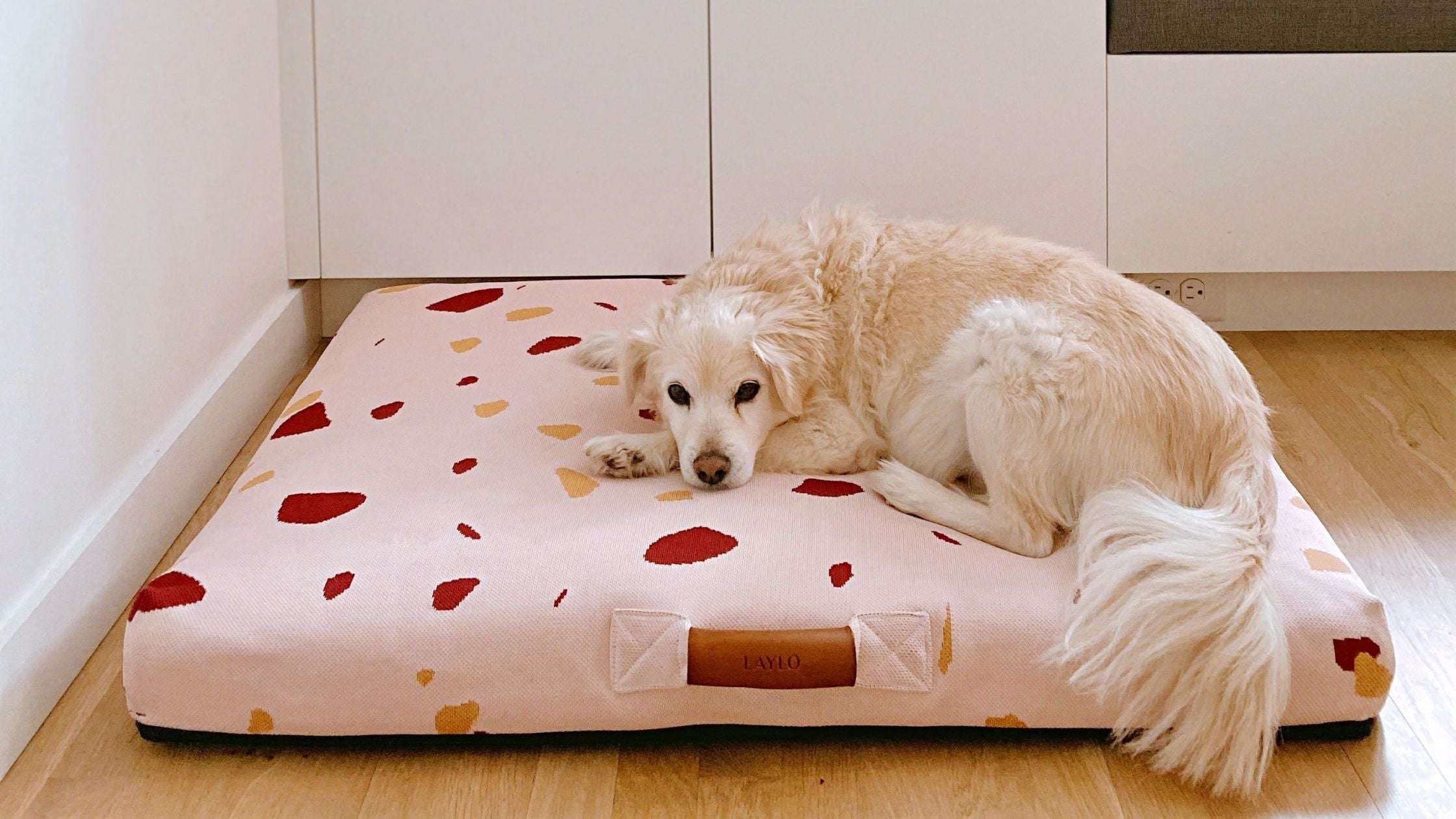 Why Do Dogs Scratch the Bed?-WildCreaturey