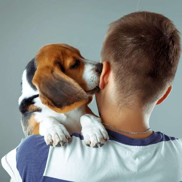 Why Does My Dog Lick My Ears?-WildCreaturey