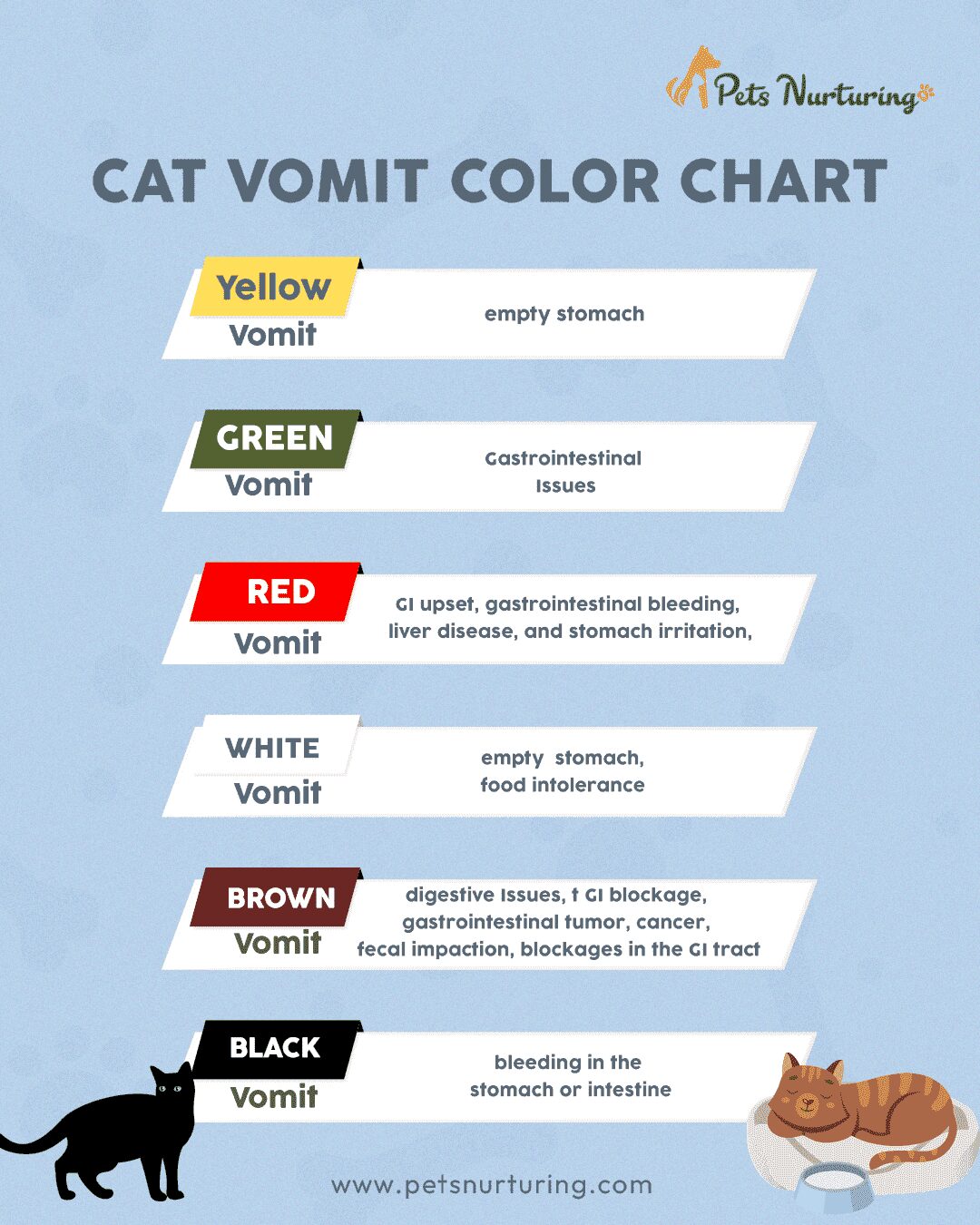 Yellow Mysteries: Decoding Cat Vomit