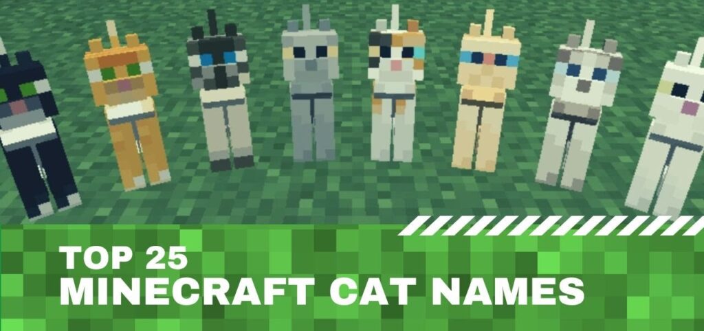 Minecraft Cat Names