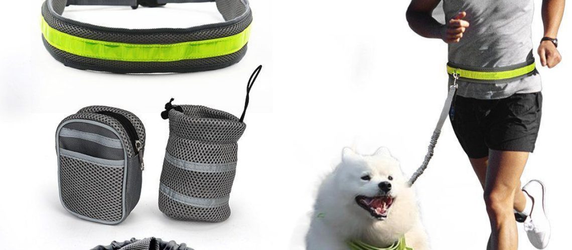 4 Types of Dog Leashes-WildCreaturey