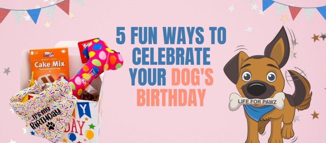 5 Ways to Celebrate Your Dog's Birthday-WildCreaturey