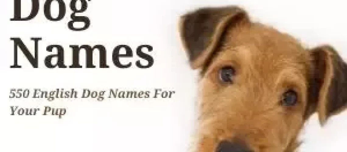 Best British Dog Names (Plus Naming Tips)-WildCreaturey
