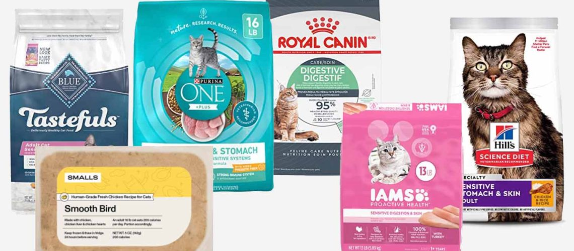 Best Cat Food For Cats That Throw Up