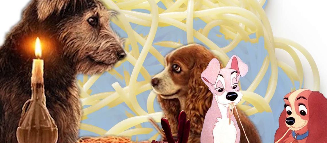Can Dogs Eat Pasta?-WildCreaturey