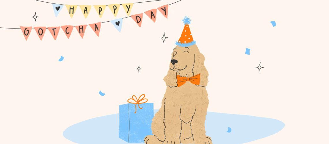 Celebrate Your Dog's Adoption Day: Ideas & Tips-WildCreaturey