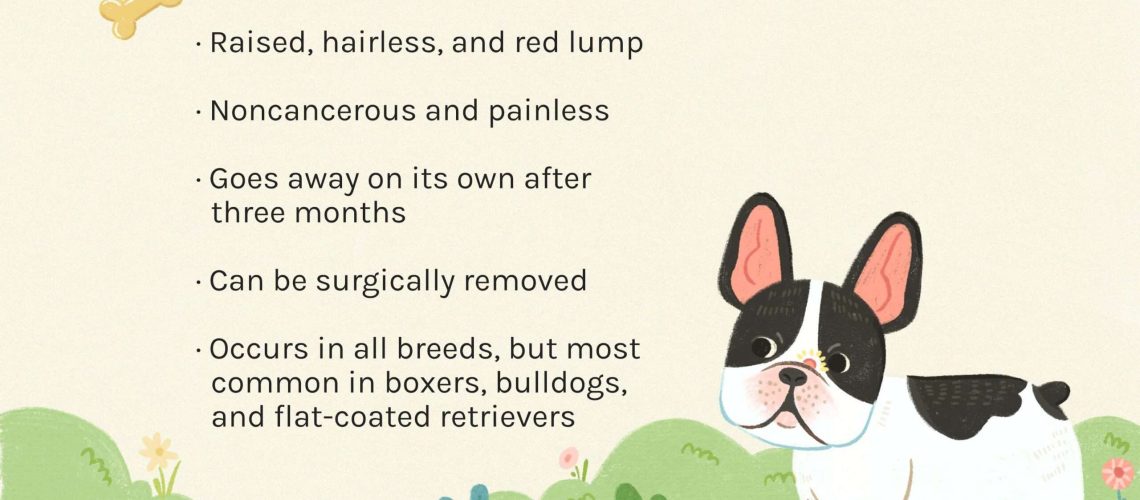 Histiocytomas in Dogs-WildCreaturey