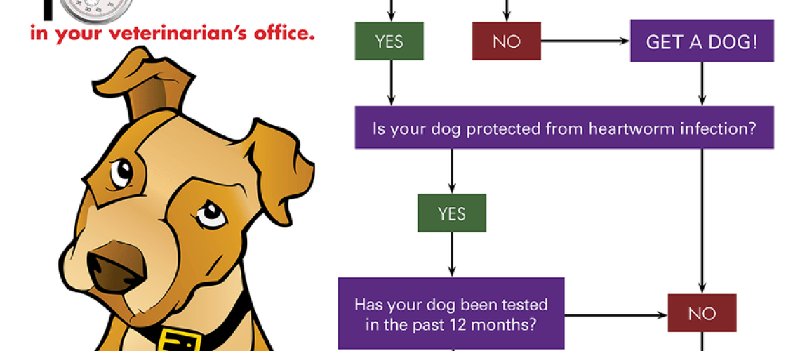 How to Treat Heartworm Disease in Dogs-WildCreaturey