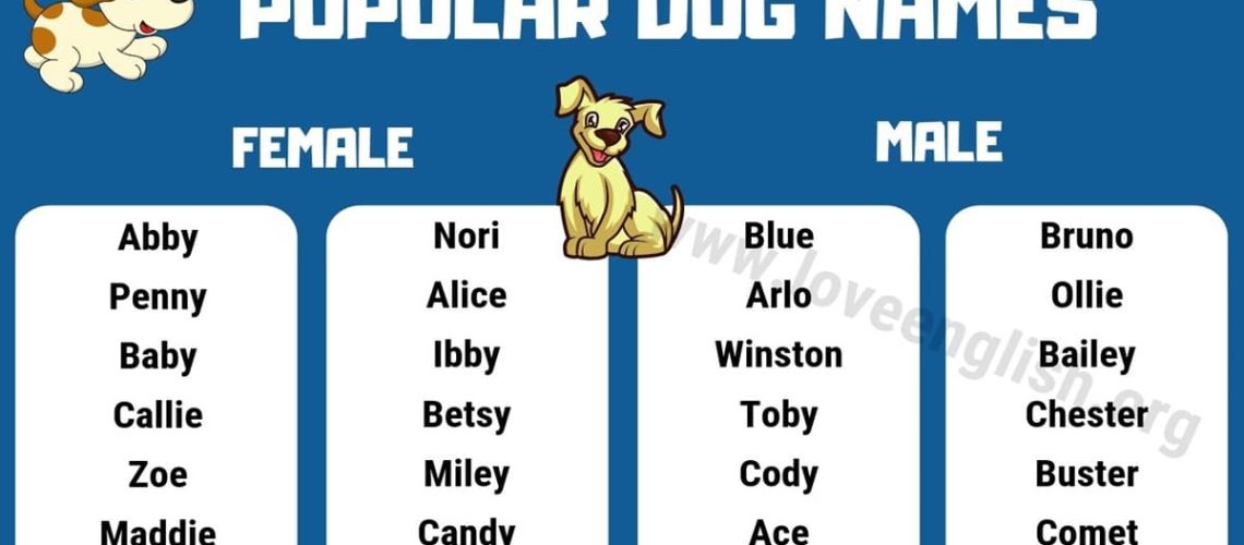 Summer Dog Names-WildCreaturey