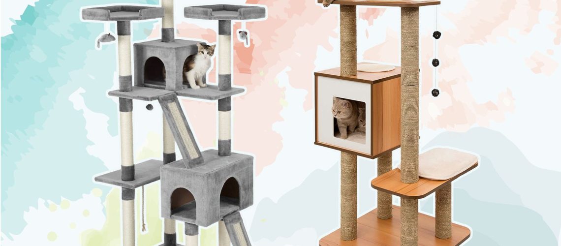 10 Amazing Cat Trees You Have to See