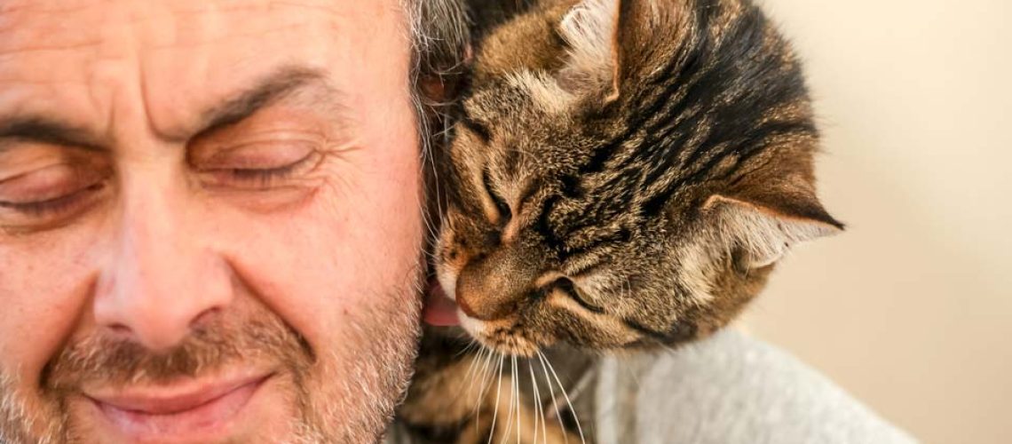 Why Do Some Cats Groom Their Owner's Hair?